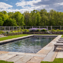 OLUGE pool