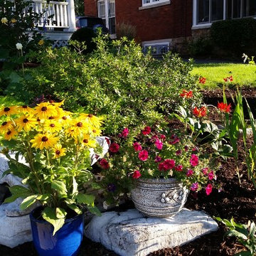 Colourful Front Walkway