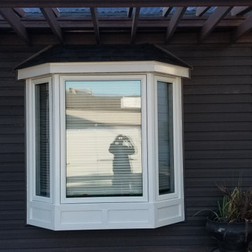 Window Replacement