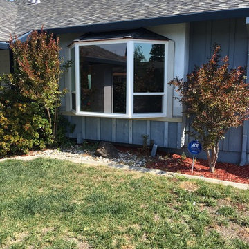 Window & Door Replacement