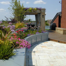 Exterior Ideas