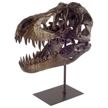 Jurassic 6L x 10W Brown Resin Tyrannosaurus Skull Replica