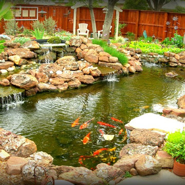 Koi Ponds + Water Gardens
