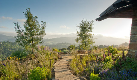 Gartenstile kurz erklärt: Der naturnahe Garten