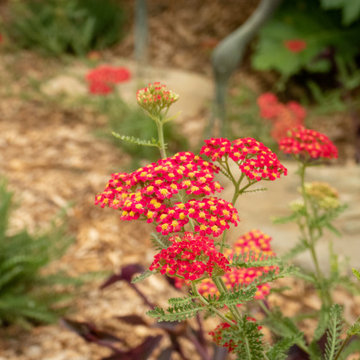 Colorful and Contemplative