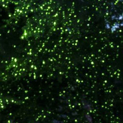 Laser Christmas Lights - Products
