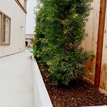 Carlsbad Beach house