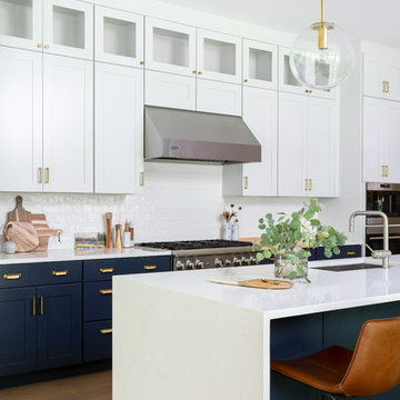 Forest Contemporary