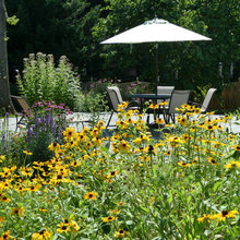 Cottage Garden