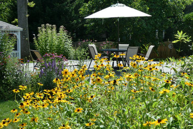 Inspiration for a partial sun backyard landscaping in DC Metro for summer.