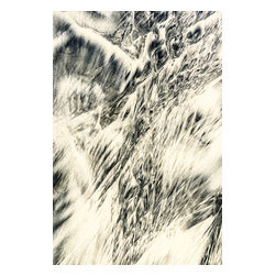 Douglas Page Photographic Arts - Sandprints Designer Series No.15, 8"x12" - Photographs