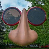 Foto von Sandi Randleman