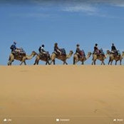 Foto von Teressa Wingler