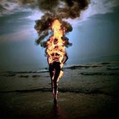 Elisa Martinez's photo