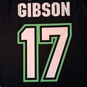 Stephen Gibsons foto