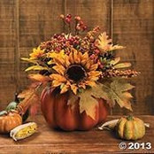Karen Dakin's photo