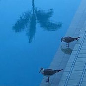 Connie Murray's photo