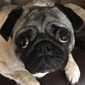 Mark Hilliard's photo