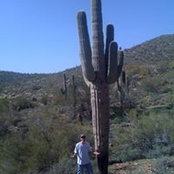 Robert Barberio's photo