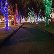 Bob Gebel's photo