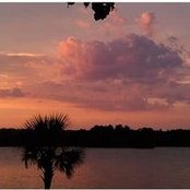 Mesa Foard's photo