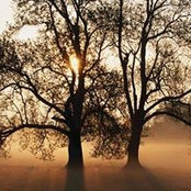 Susan Sladden's photo