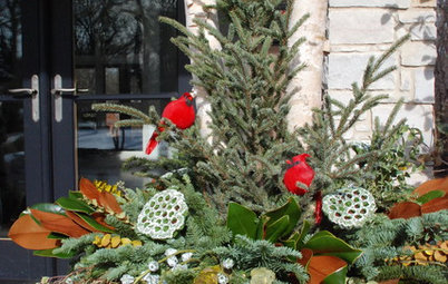 10 High-Impact Ideas to Dress Up Your Winter Containers