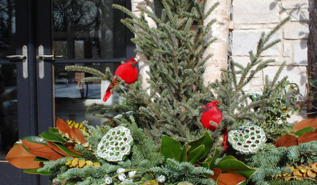 10 High-Impact Ideas to Dress Up Your Winter Containers