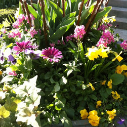 Spring Rotations - Home Fragrances