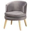 Davina Glam Luxe Gray Velvet Fabric and Gold Wood Accent Chair