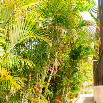 Tropical Design & Installation - West Bradenton