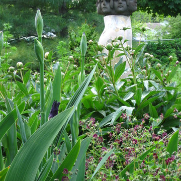 Jenni's Gardens