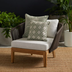 Daintree - Products