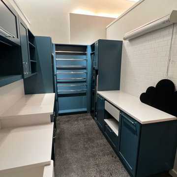 Boston Area Custom Painted Laundry Cabinets with Solid Surface Countertop