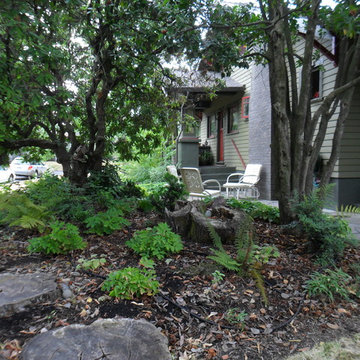 Woodland Stumpery Garden
