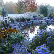 Pond