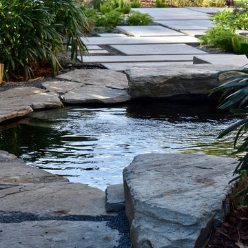 Modern Front Yard Water Garden