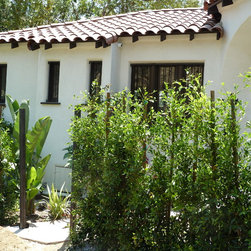 Hollywood &ndash; Historic Renovation - Windows