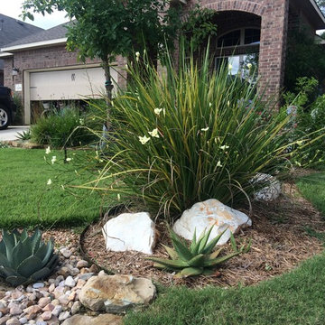 Various Xeriscapes by Team Rhinamic