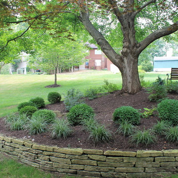 Anderson Front Project