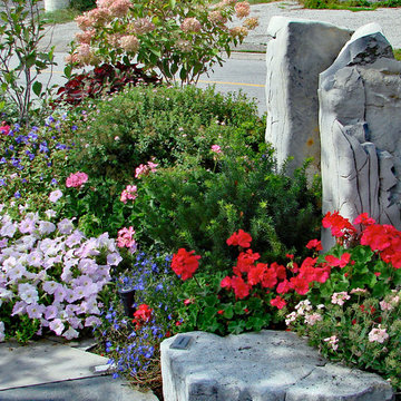 Planting and Maintenance