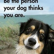 Andrew Bidwell's photo