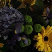 Foto von Cathy Pruden