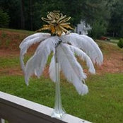 Kimberly Bohannon's photo