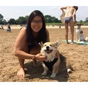 Angela Sun's photo