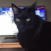 Amy Skiver's photo