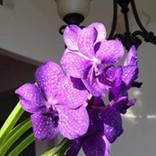 Yihua Zhang's photo