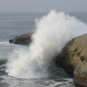 Amanda Conroy's photo