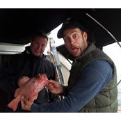 Steve Darby's photo