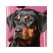 Lucy Labweiler's photo